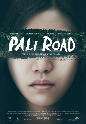 dfn-PaliRoad_poster-300