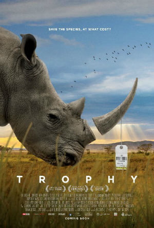 dfn-trophy-300