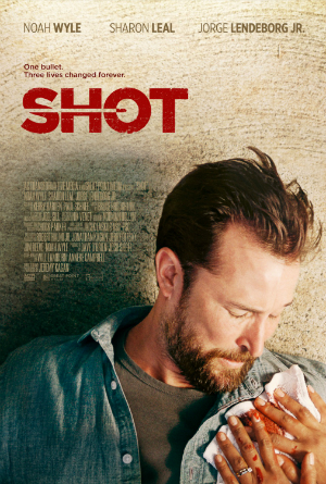 dfn-shot-poster-300
