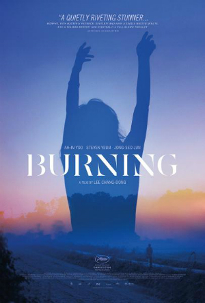 dfn-Burning-poster-300