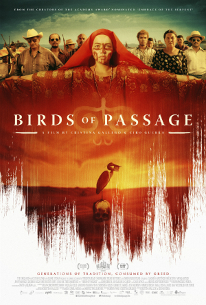 dfn_pajaros_de_verano_ver6_300